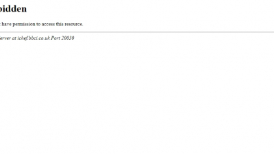 Журова предложила проверить бойца Исмаилова после инцидента с памятником