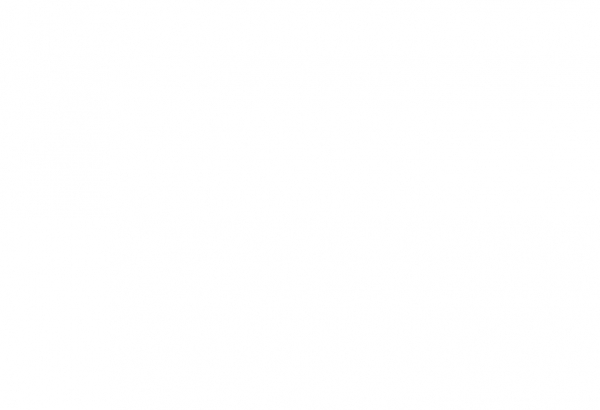 Биография Сенды Беренсон: Путь к успеху в женском баскетболе