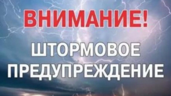Один день из жизни столицы: пошаговая инструкция выживания в московскую непогоду